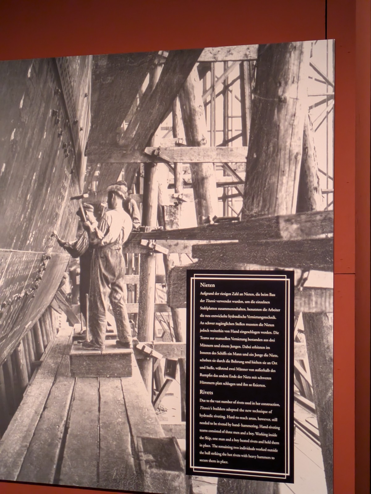 PXL 20241217 100846598.NIGHT